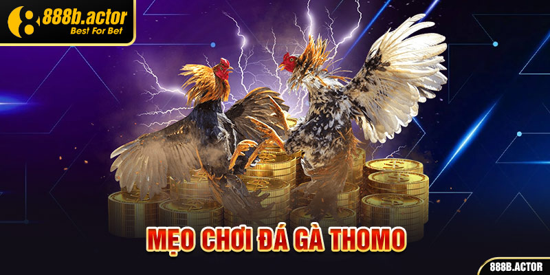 Mẹo chơi đá gà Thomo