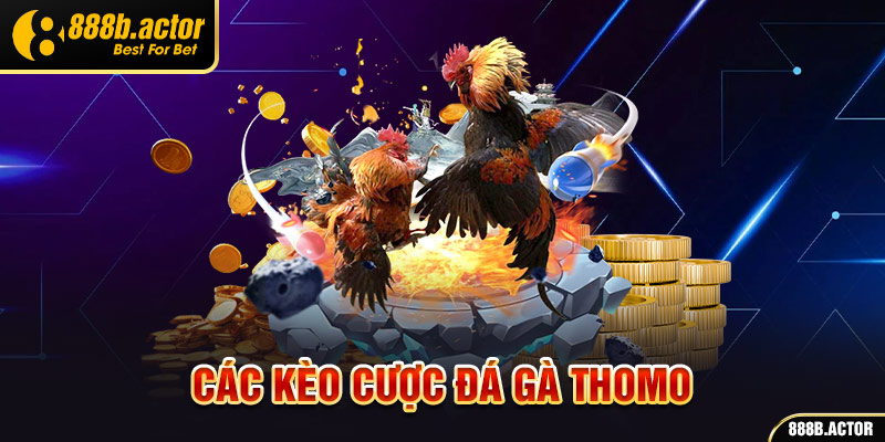 Các kèo cược đá gà Thomo