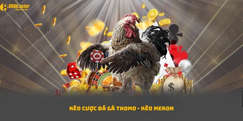 Các kèo cược đá gà Thomo - Kèo Meron