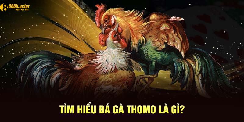 Tìm hiểu đá gà Thomo online là gì?