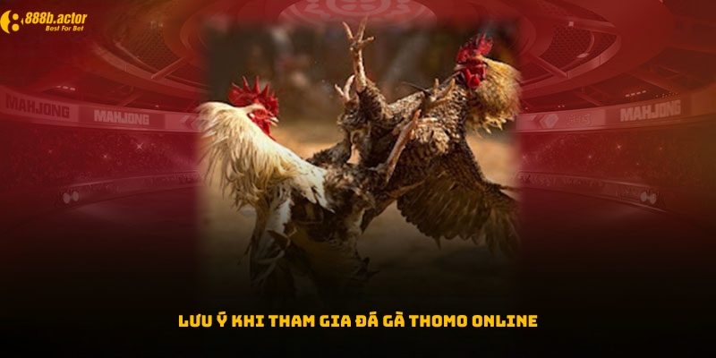 Một vài lưu ý khi tham gia chơi đá gà Thomo online