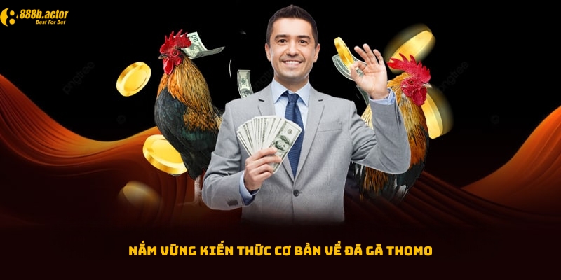 Mẹo chơi đá gà Thomo - Có kiến thức cơ bản